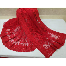 Mono Net Saree with Hand Embroidery work 